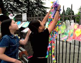 Pupils hang paper cranes at Ikeda school